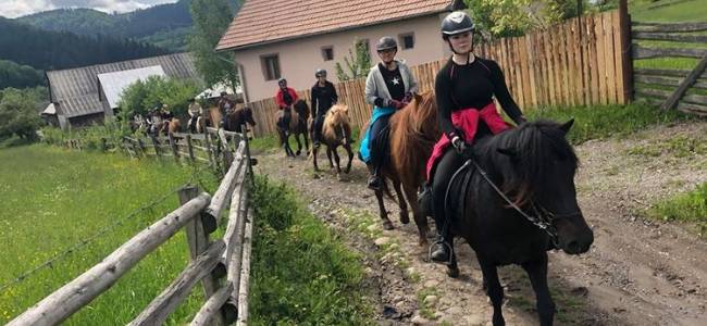 Egy napos lovastúra a Hargitán