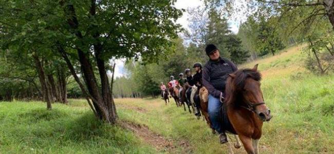 Egy napos lovastúra a Hargitán