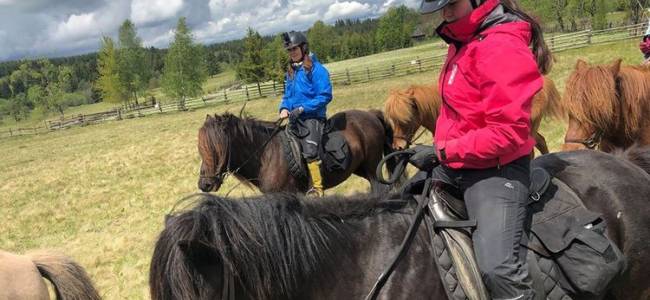 Egy napos lovastúra a Hargitán