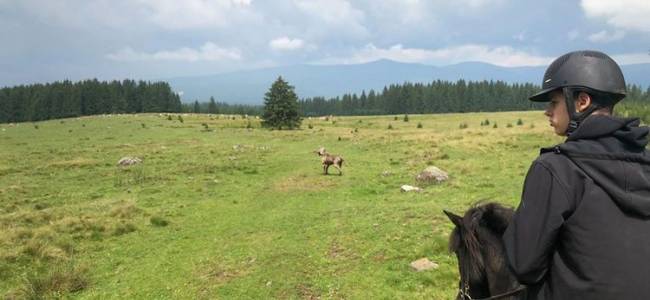 Egy napos lovastúra a Hargitán