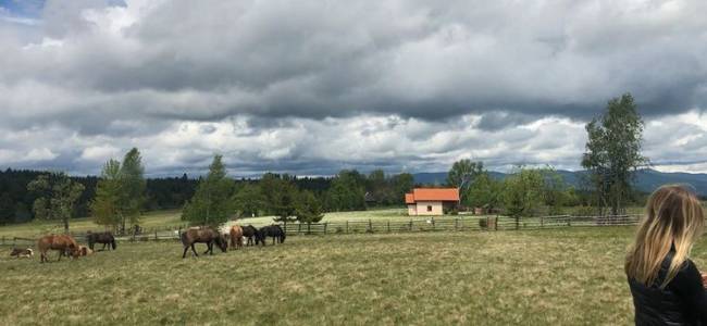 Egy napos lovastúra a Hargitán