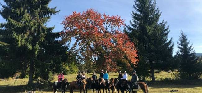 Egy napos lovastúra a Hargitán