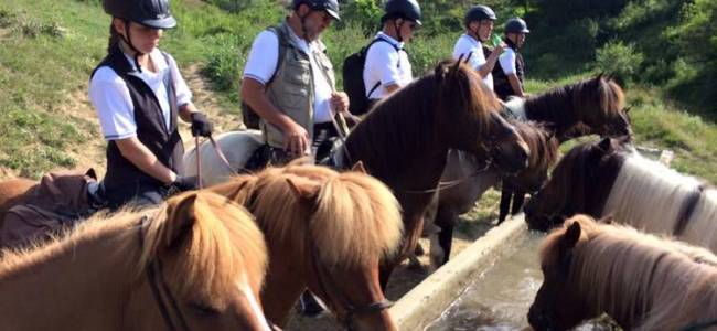 Egy napos lovastúra a Hargitán