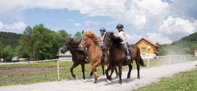 Egy napos lovastúra a Hargitán