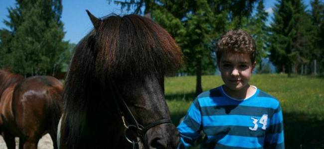 Lovaslecke, rövid lovastúra a Hargitán