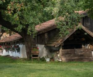 Ilyés Panzió, photo 5 of 19