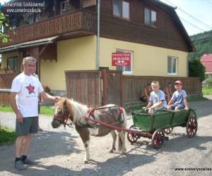Molnár Vendégház