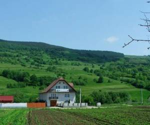 Küküllő Panzió