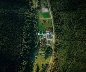 Natur Air Park, photo 4 of 21
