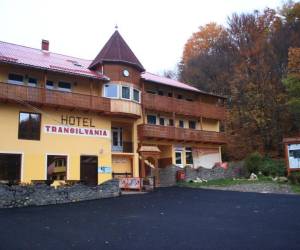 Villa Transilvania Panzió, photo 2 of 16