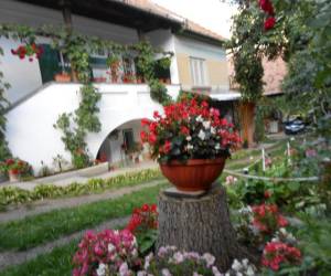 Abelia Vendégház, photo 3 of 15