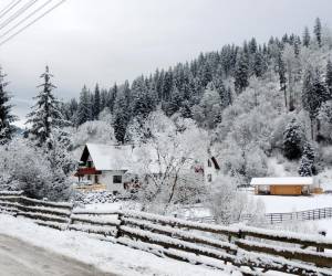 Három Bocs Panzió, photo 4 of 19