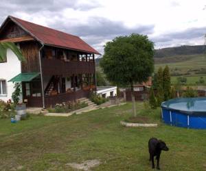 Ezüst Fenyő Vendégház, photo 3 of 9
