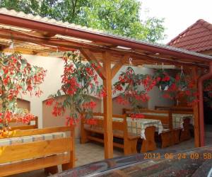 Lőrincz Panzió (Szováta), photo 3 of 48
