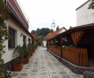 Tulipán Panzió (Sepsiszentgyörgy), photo 2 of 16