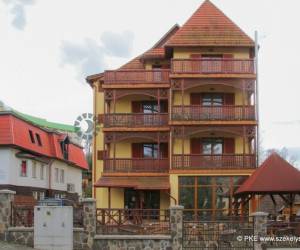 Medve Villa - Vila Ursu, photo 2 of 40