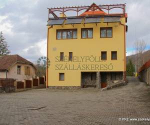 Medve Villa - Vila Ursu, photo 3 of 40