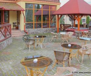 Medve Villa - Vila Ursu, photo 4 of 40