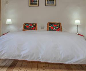 King Room with garden view